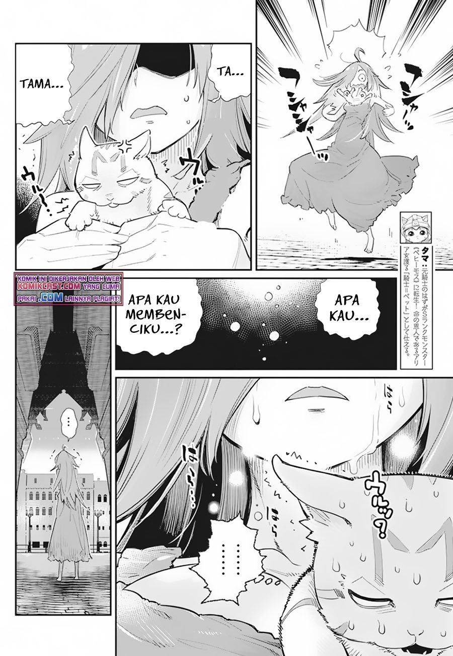 s-rank-monster-no-behemoth-dakedo-neko-to-machigawarete-erufu-musume-no-kishi-pet-toshite-kurashitemasu - Chapter: 39