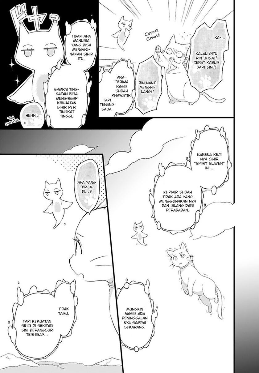 the-vengeful-white-cat-lounging-on-the-dragon-kings-lap - Chapter: 18.4