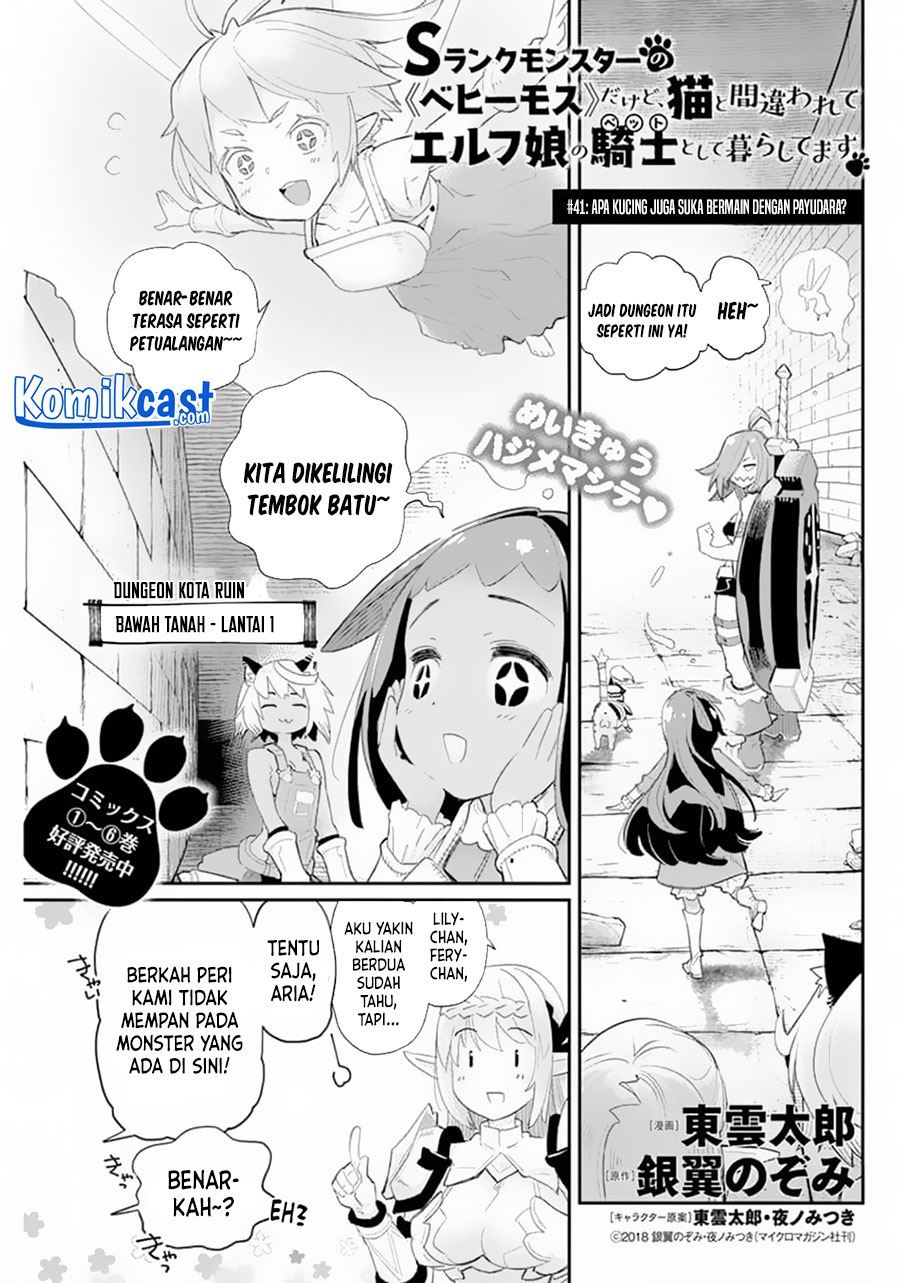 s-rank-monster-no-behemoth-dakedo-neko-to-machigawarete-erufu-musume-no-kishi-pet-toshite-kurashitemasu - Chapter: 41