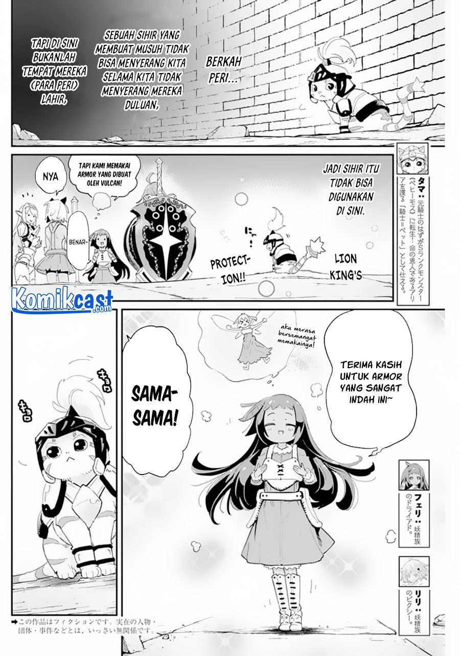 s-rank-monster-no-behemoth-dakedo-neko-to-machigawarete-erufu-musume-no-kishi-pet-toshite-kurashitemasu - Chapter: 41