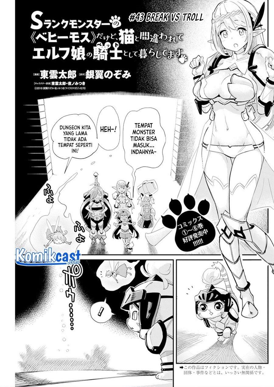 s-rank-monster-no-behemoth-dakedo-neko-to-machigawarete-erufu-musume-no-kishi-pet-toshite-kurashitemasu - Chapter: 43