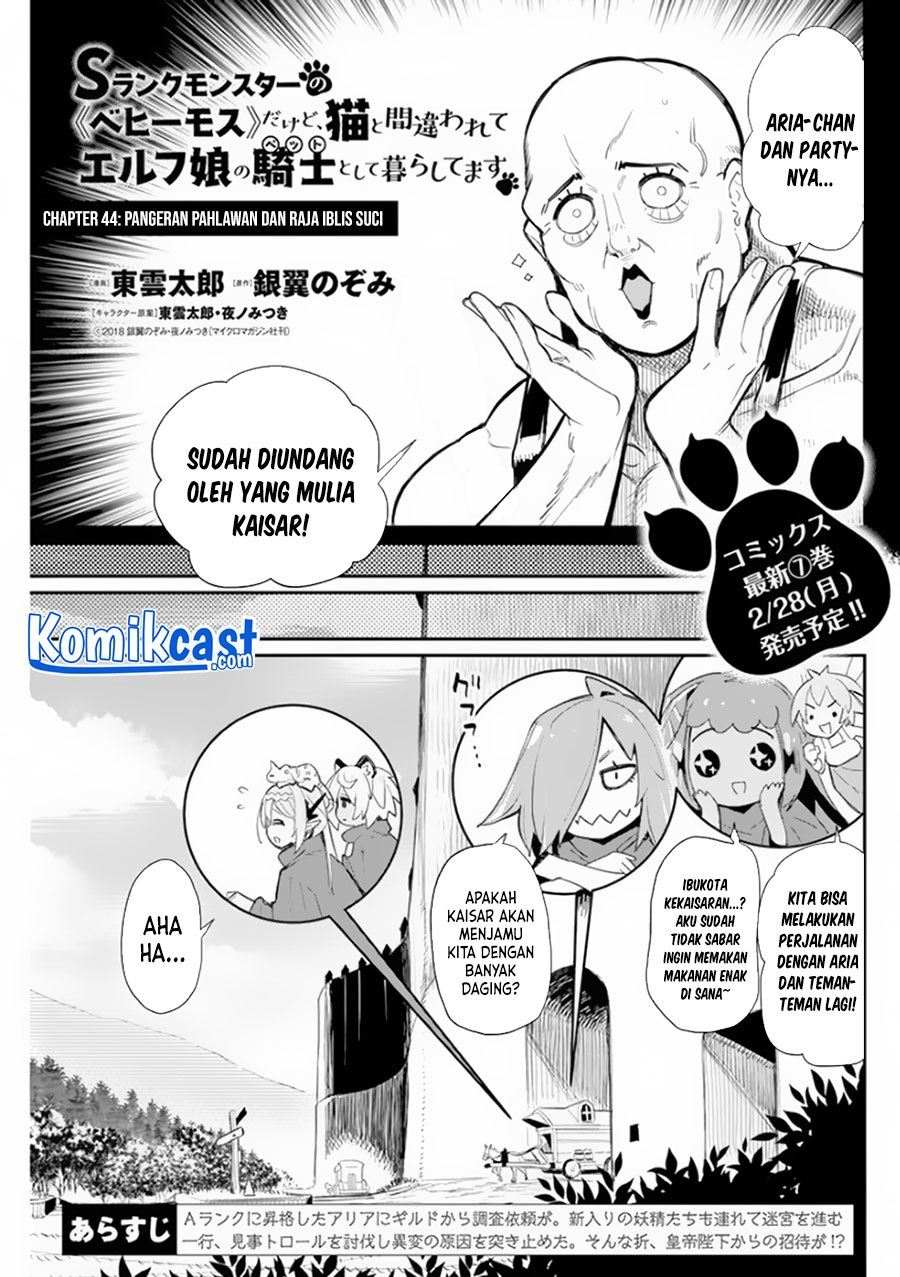 s-rank-monster-no-behemoth-dakedo-neko-to-machigawarete-erufu-musume-no-kishi-pet-toshite-kurashitemasu - Chapter: 44