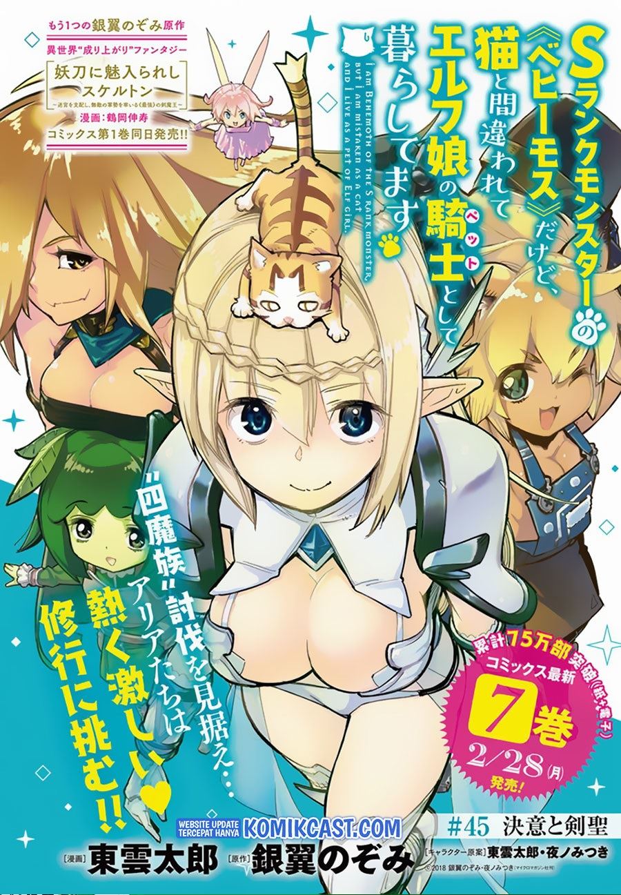 s-rank-monster-no-behemoth-dakedo-neko-to-machigawarete-erufu-musume-no-kishi-pet-toshite-kurashitemasu - Chapter: 45