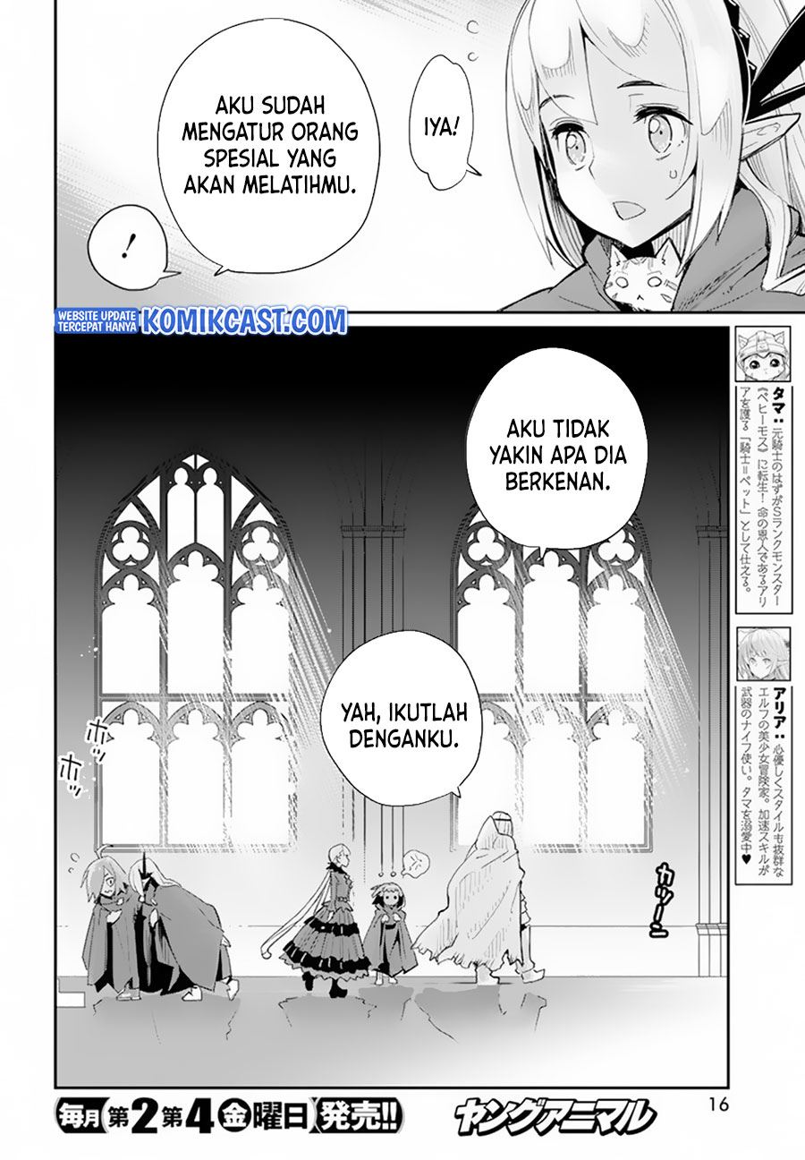 s-rank-monster-no-behemoth-dakedo-neko-to-machigawarete-erufu-musume-no-kishi-pet-toshite-kurashitemasu - Chapter: 45