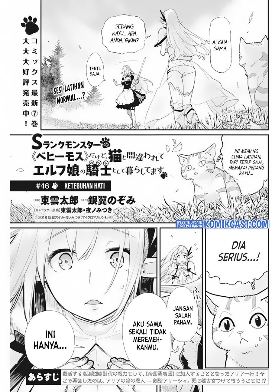 s-rank-monster-no-behemoth-dakedo-neko-to-machigawarete-erufu-musume-no-kishi-pet-toshite-kurashitemasu - Chapter: 46