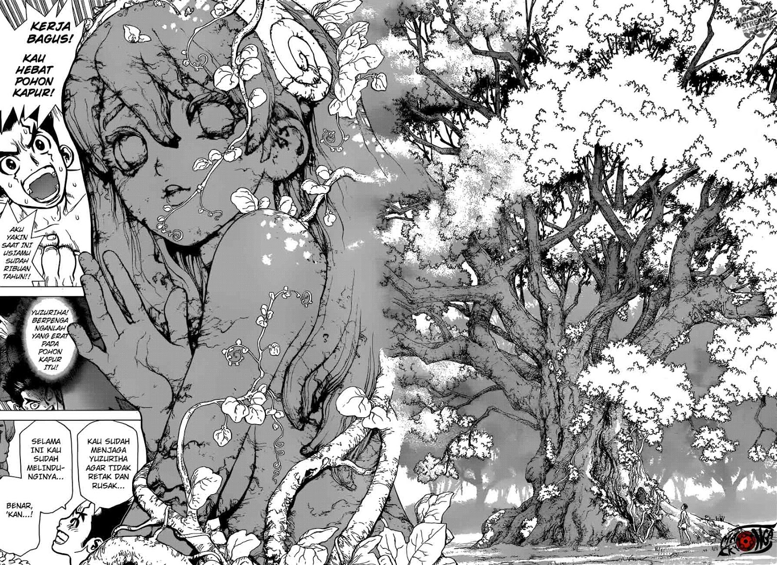 dr-stone - Chapter: 01