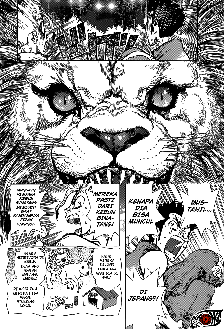 dr-stone - Chapter: 03