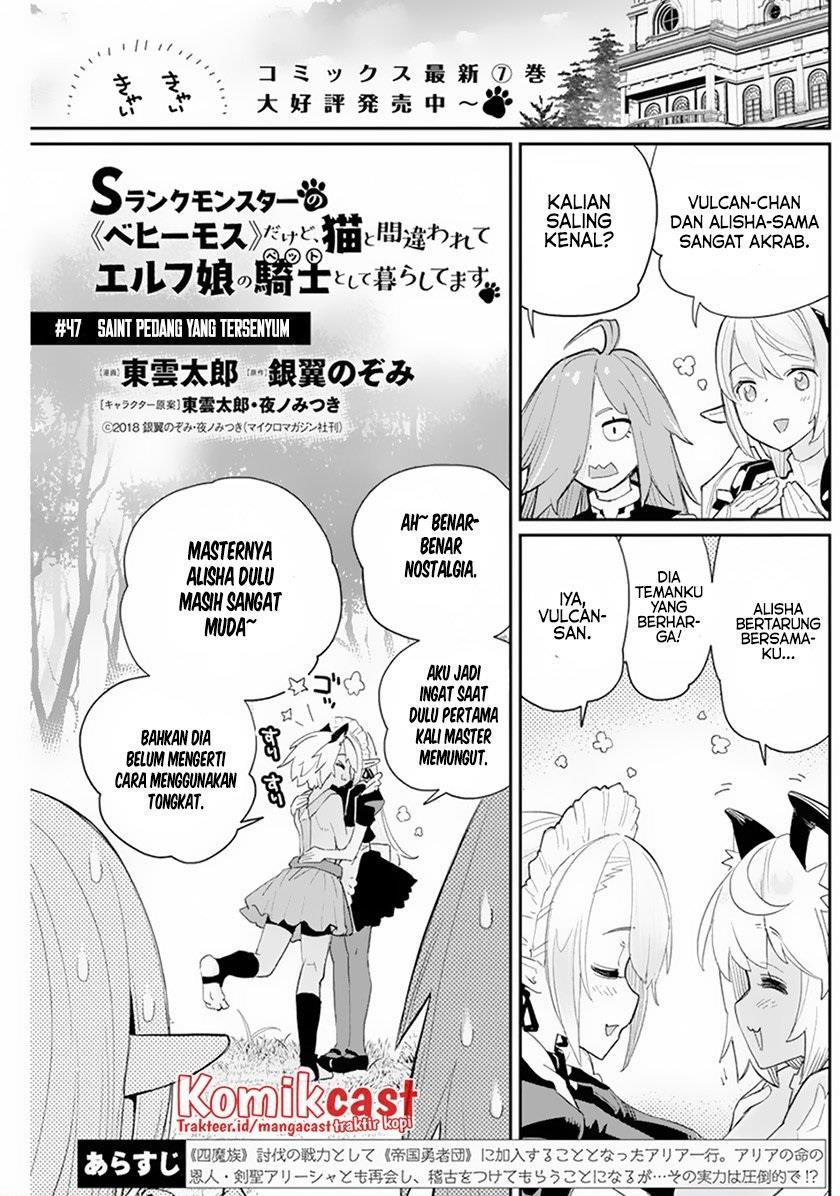 s-rank-monster-no-behemoth-dakedo-neko-to-machigawarete-erufu-musume-no-kishi-pet-toshite-kurashitemasu - Chapter: 47