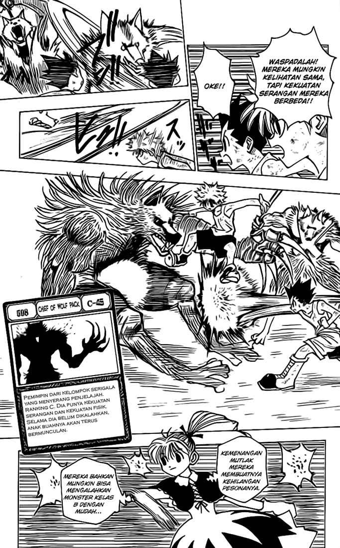 hunter-x-hunter - Chapter: 146