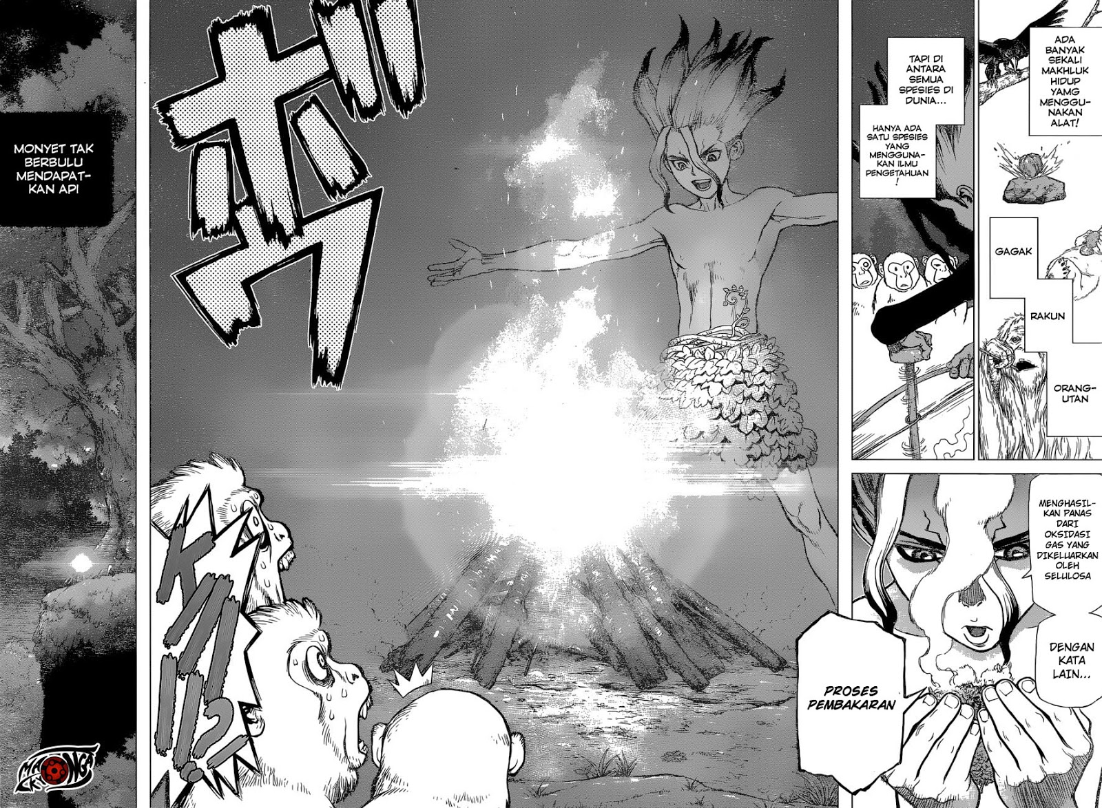 dr-stone - Chapter: 13