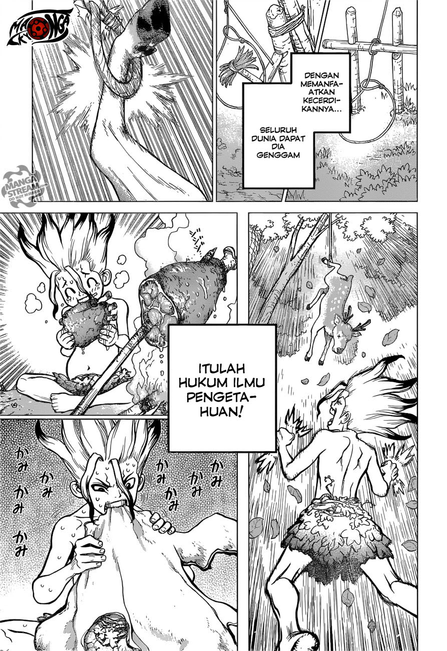 dr-stone - Chapter: 13