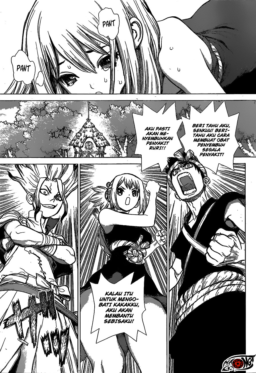 dr-stone - Chapter: 20