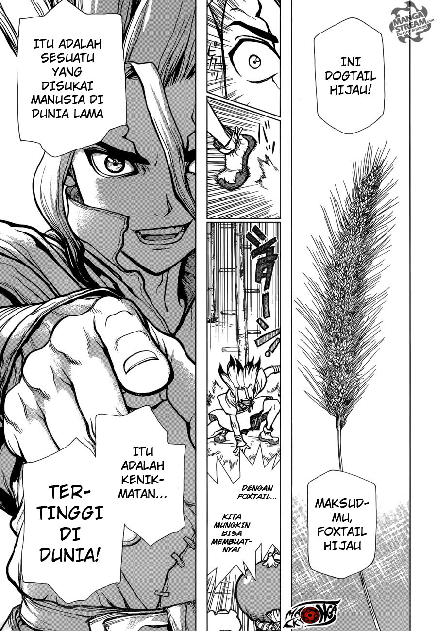 dr-stone - Chapter: 22