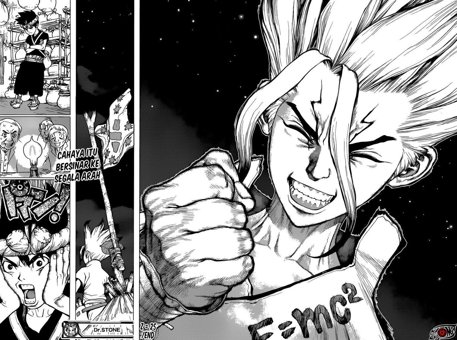 dr-stone - Chapter: 25