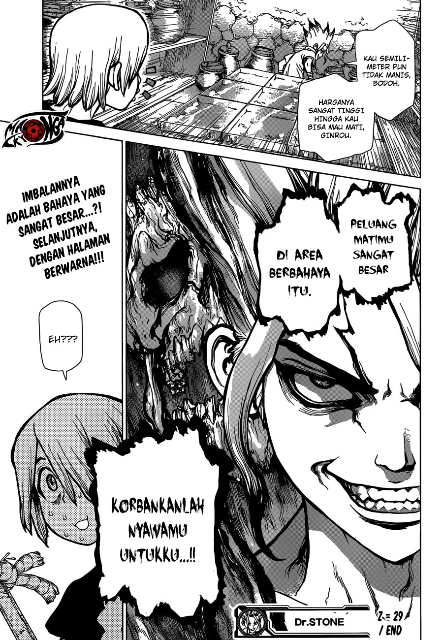 dr-stone - Chapter: 29