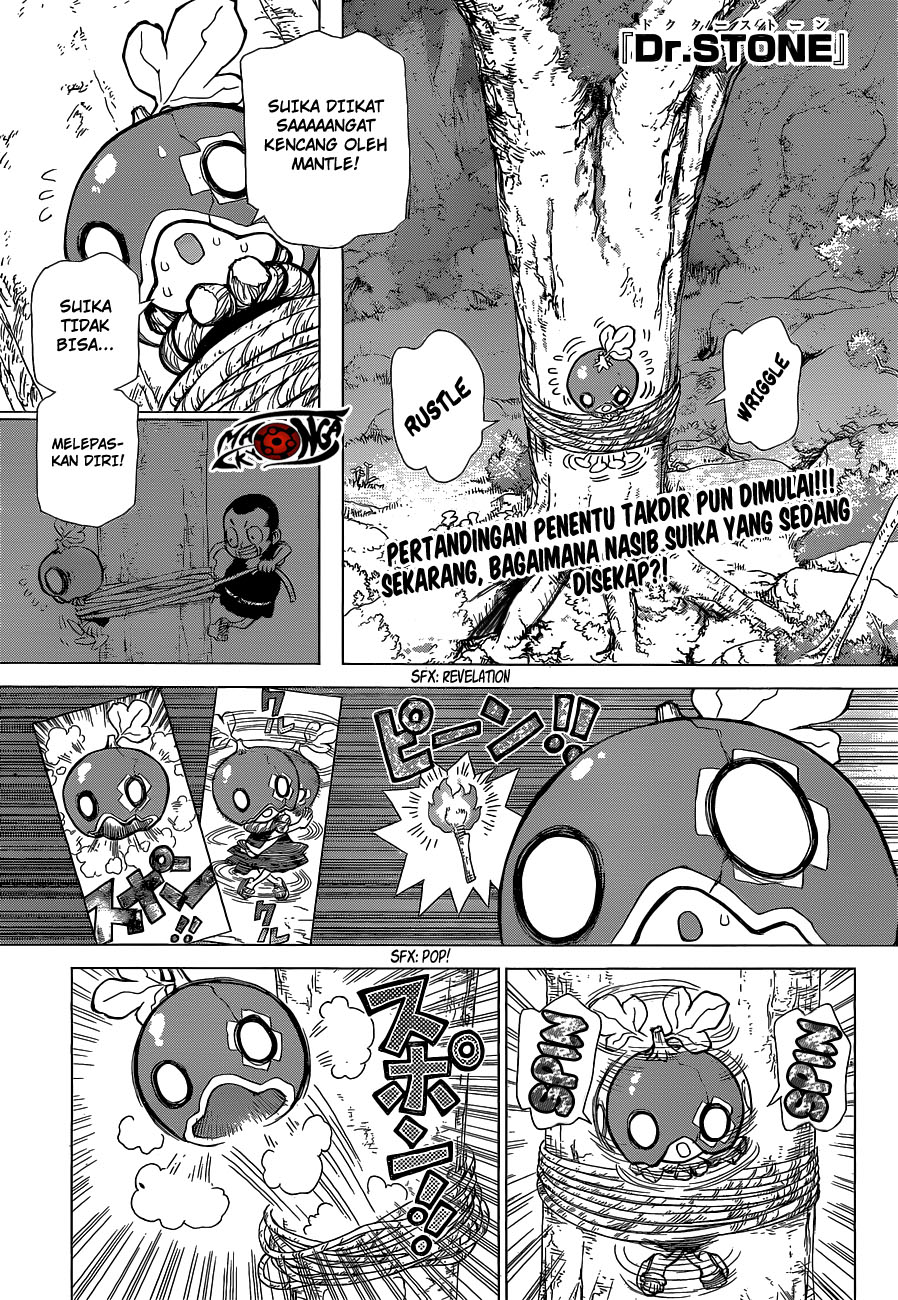 dr-stone - Chapter: 35