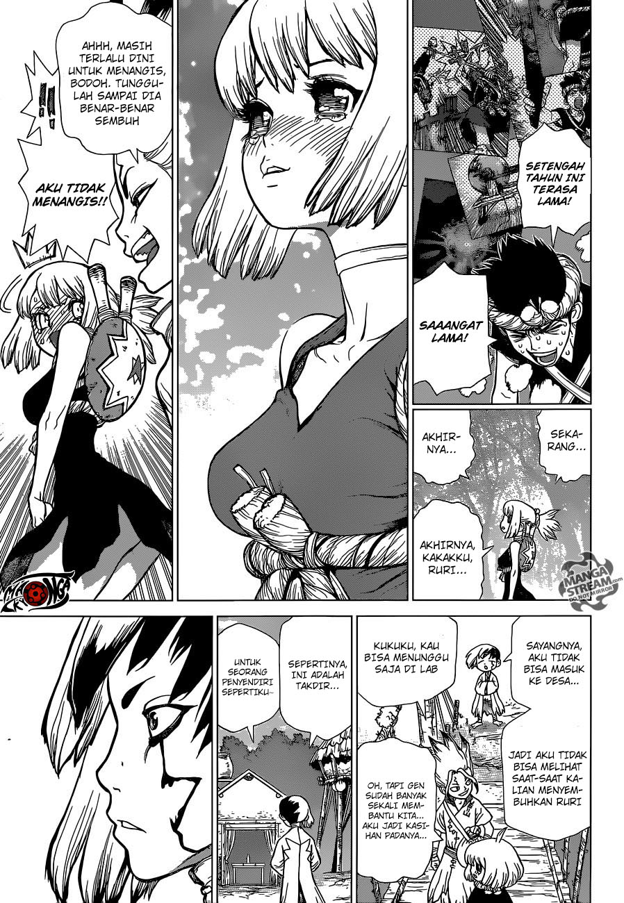 dr-stone - Chapter: 40