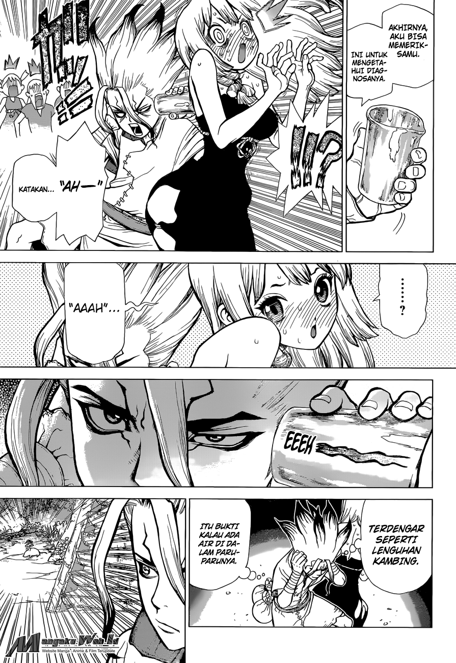 dr-stone - Chapter: 41