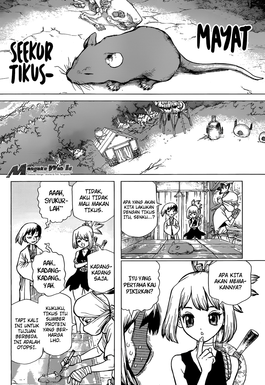 dr-stone - Chapter: 41