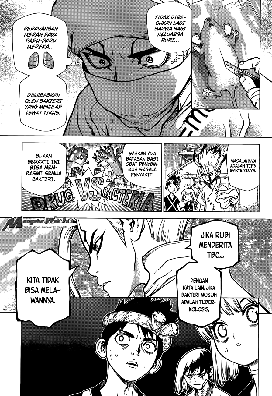 dr-stone - Chapter: 41