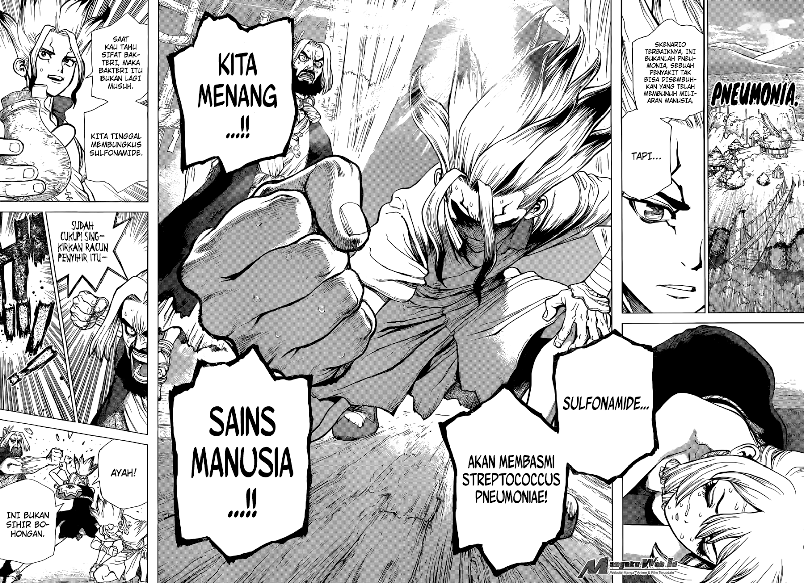 dr-stone - Chapter: 41