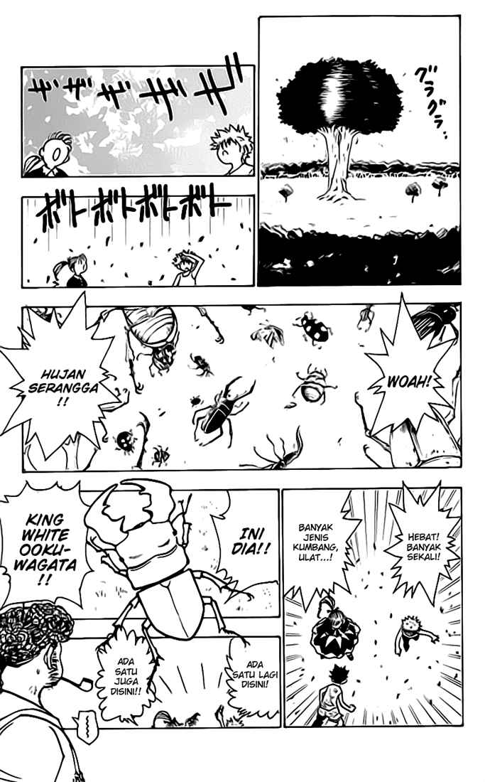 hunter-x-hunter - Chapter: 150