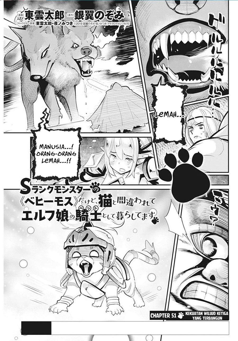 s-rank-monster-no-behemoth-dakedo-neko-to-machigawarete-erufu-musume-no-kishi-pet-toshite-kurashitemasu - Chapter: 51