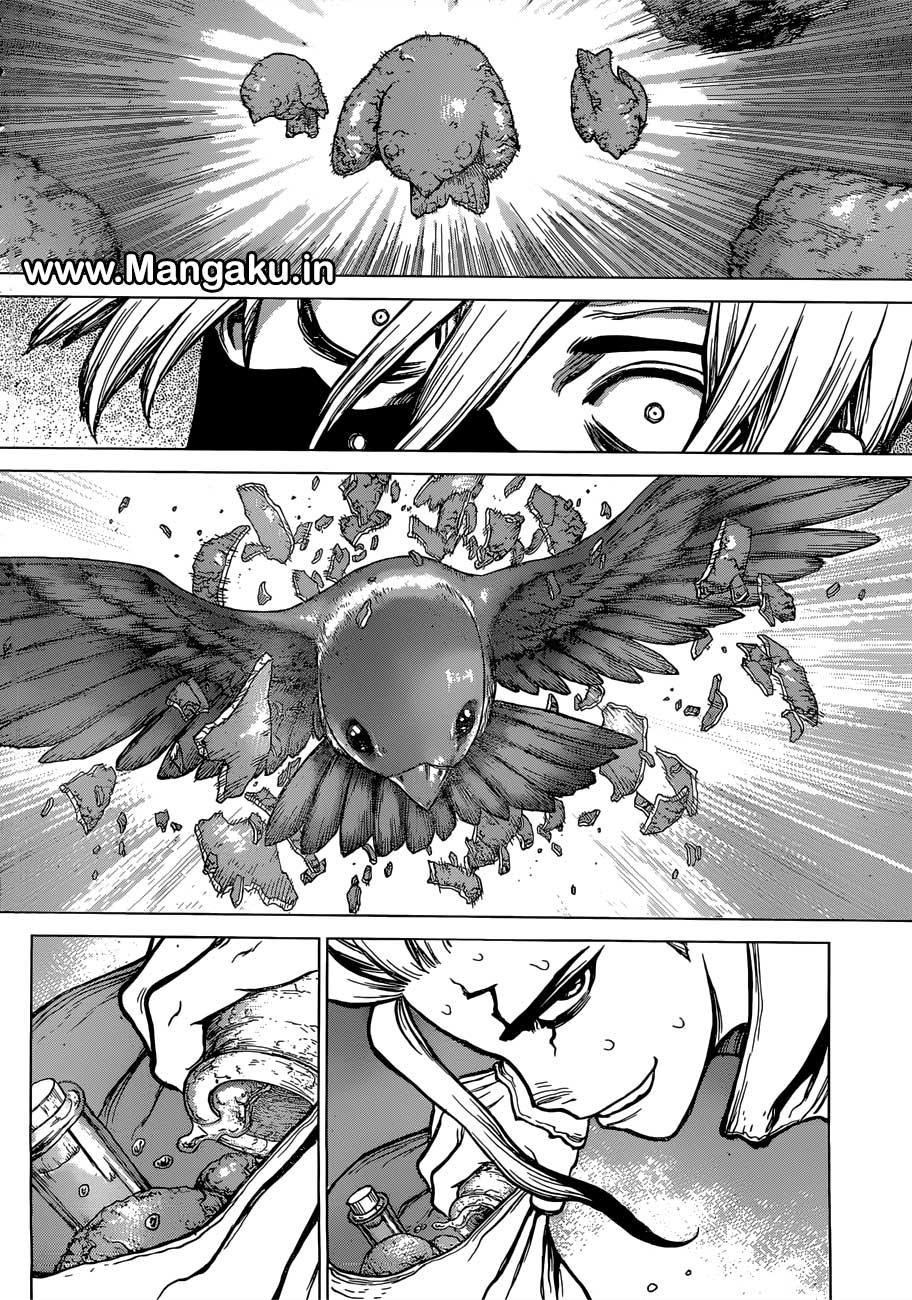 dr-stone - Chapter: 80