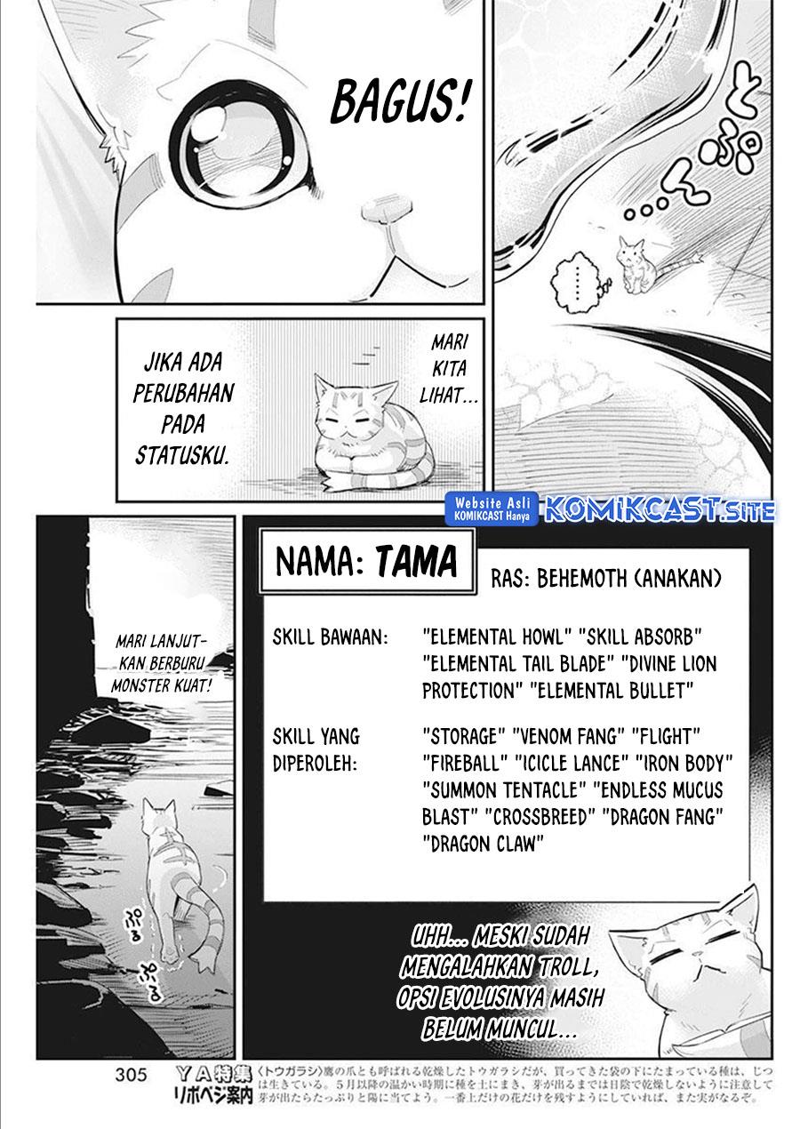 s-rank-monster-no-behemoth-dakedo-neko-to-machigawarete-erufu-musume-no-kishi-pet-toshite-kurashitemasu - Chapter: 52