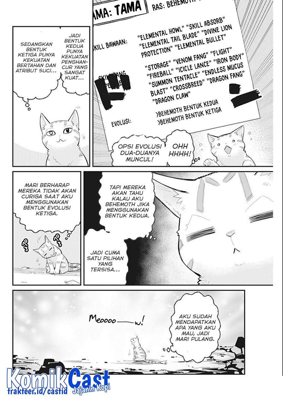 s-rank-monster-no-behemoth-dakedo-neko-to-machigawarete-erufu-musume-no-kishi-pet-toshite-kurashitemasu - Chapter: 52