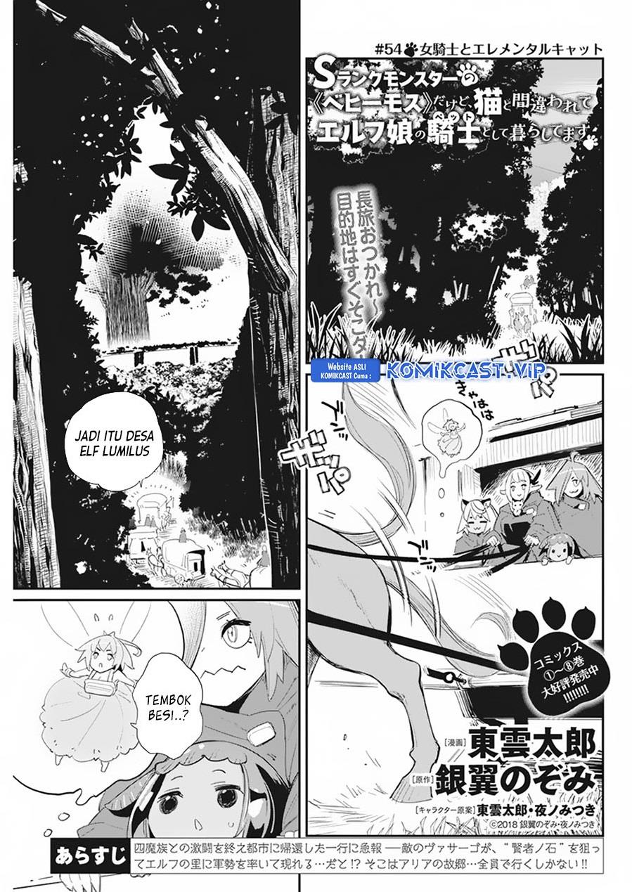 s-rank-monster-no-behemoth-dakedo-neko-to-machigawarete-erufu-musume-no-kishi-pet-toshite-kurashitemasu - Chapter: 54