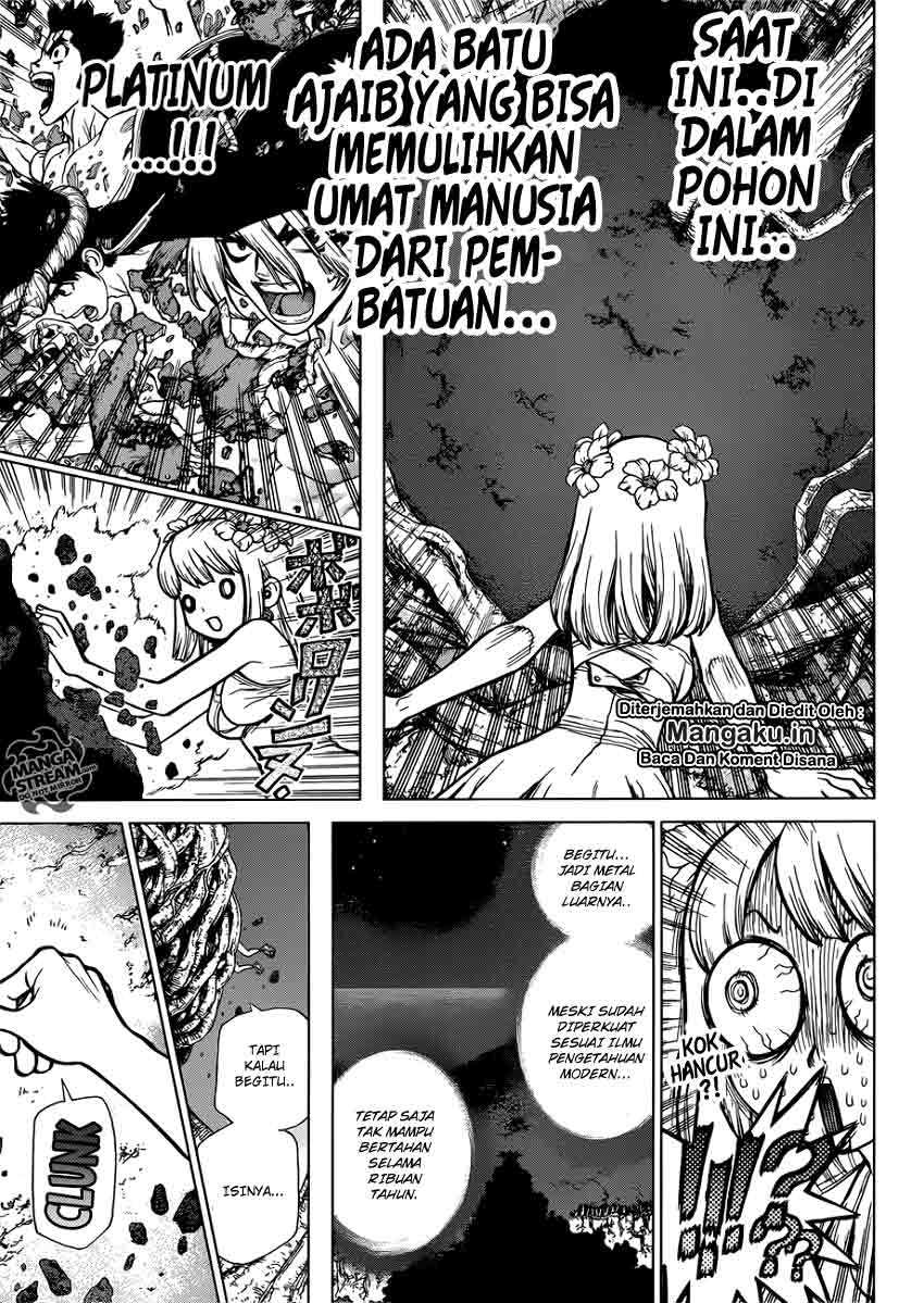 dr-stone - Chapter: 114