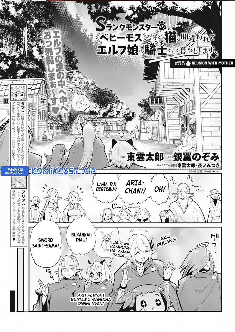 s-rank-monster-no-behemoth-dakedo-neko-to-machigawarete-erufu-musume-no-kishi-pet-toshite-kurashitemasu - Chapter: 55