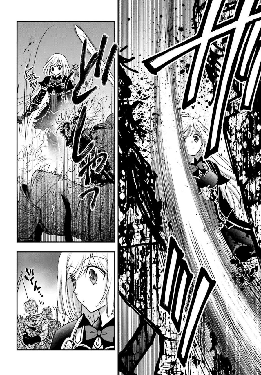 shinigami-ni-sodaterareta-shoujo-wa-shikkoku-no-tsurugi-wo-mune-ni-idaku - Chapter: 33.5