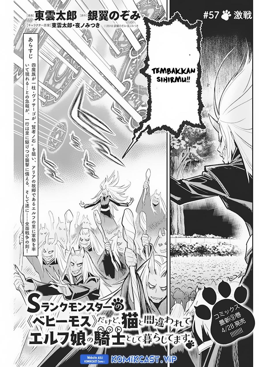 s-rank-monster-no-behemoth-dakedo-neko-to-machigawarete-erufu-musume-no-kishi-pet-toshite-kurashitemasu - Chapter: 57