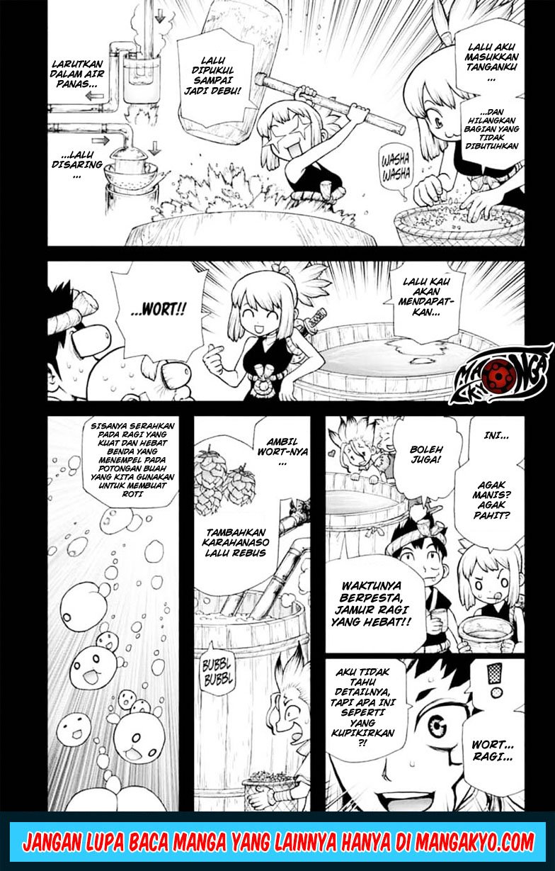 dr-stone - Chapter: 146