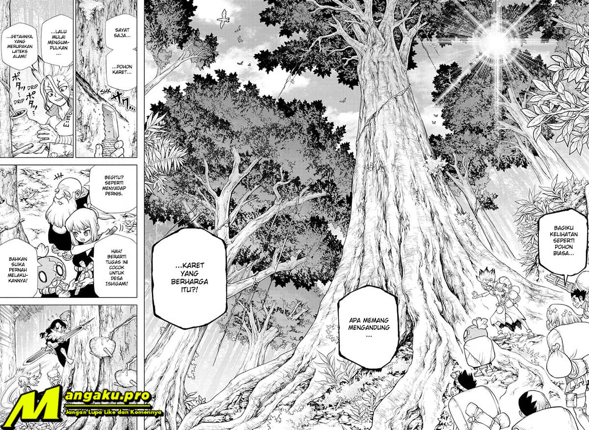 dr-stone - Chapter: 174