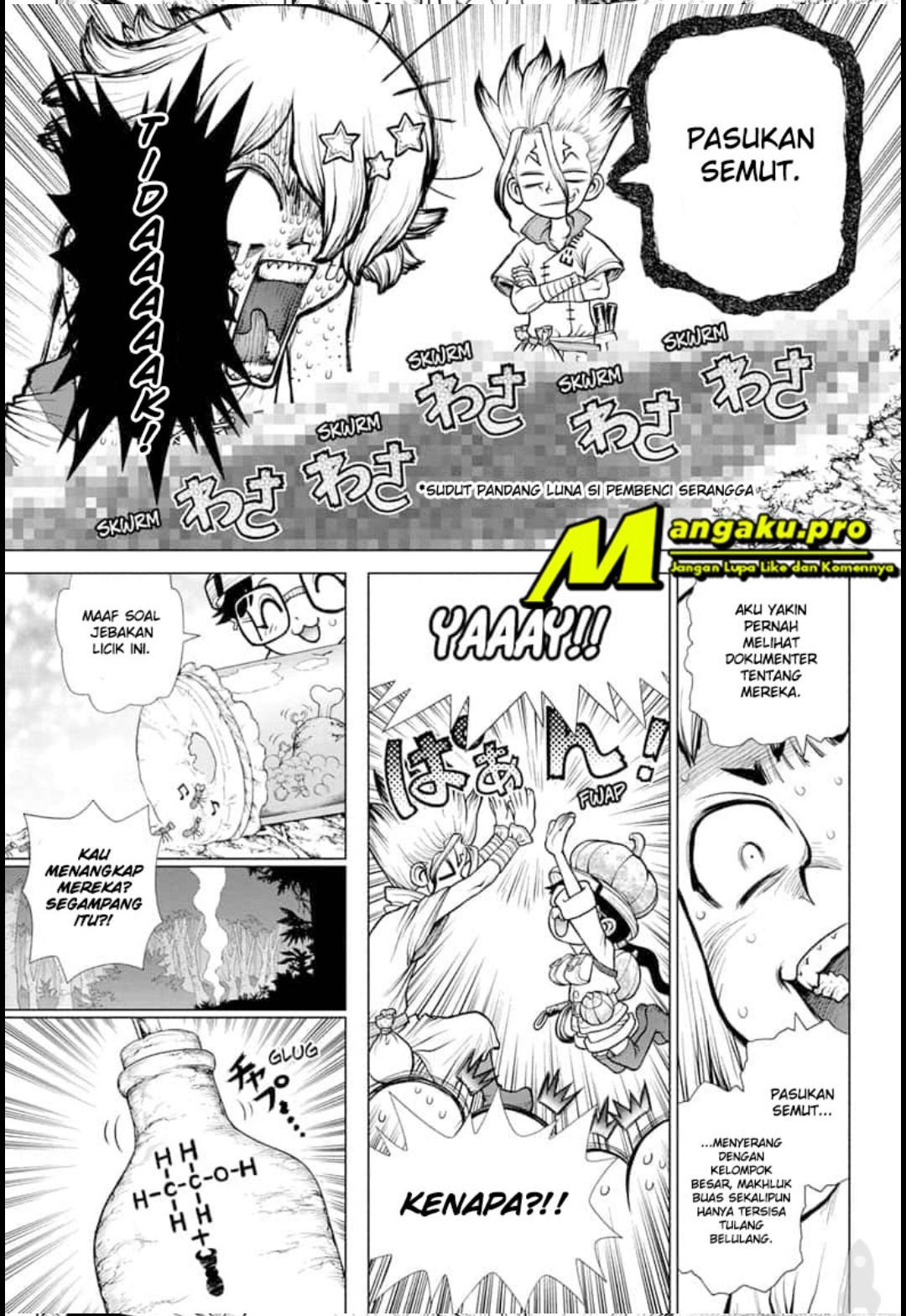 dr-stone - Chapter: 180