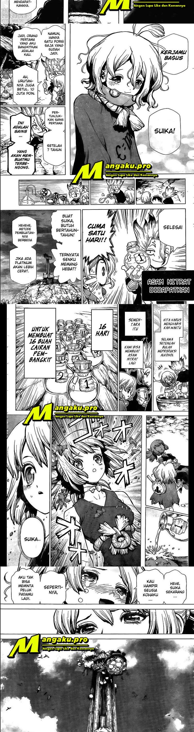 dr-stone - Chapter: 197