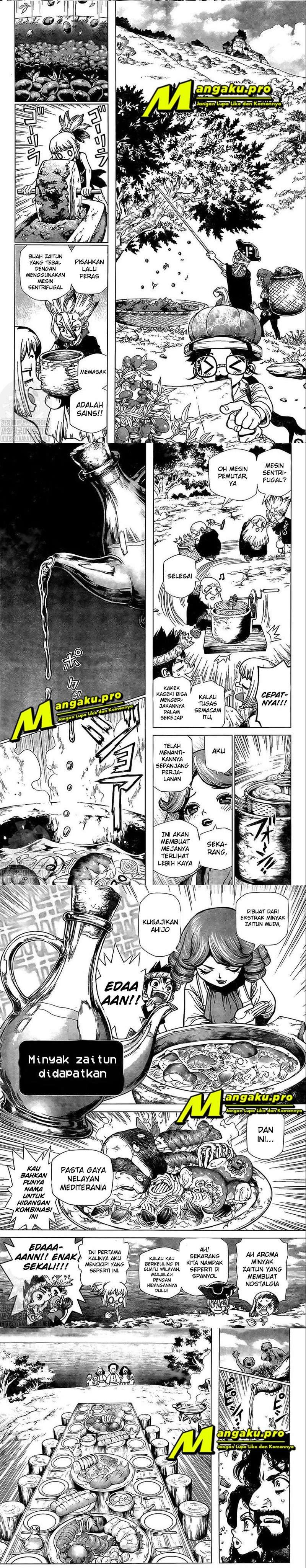 dr-stone - Chapter: 202