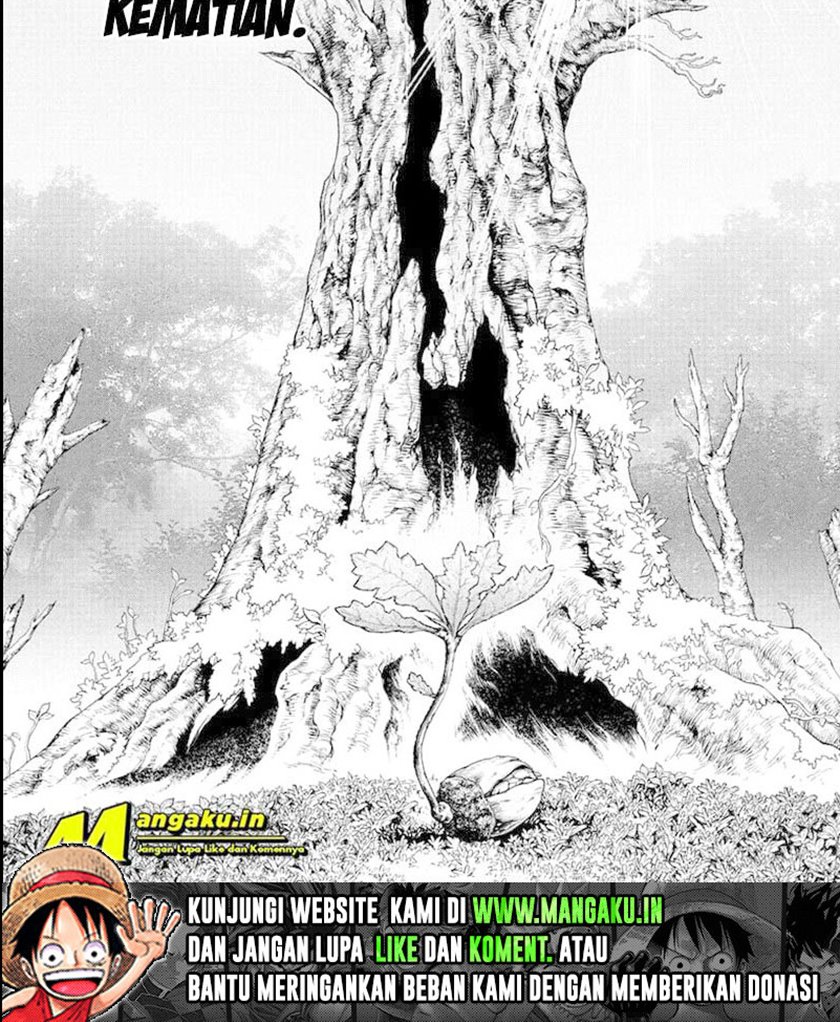 dr-stone - Chapter: 230