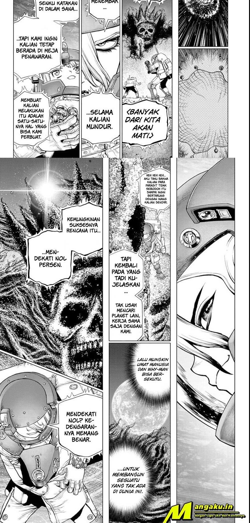 dr-stone - Chapter: 231