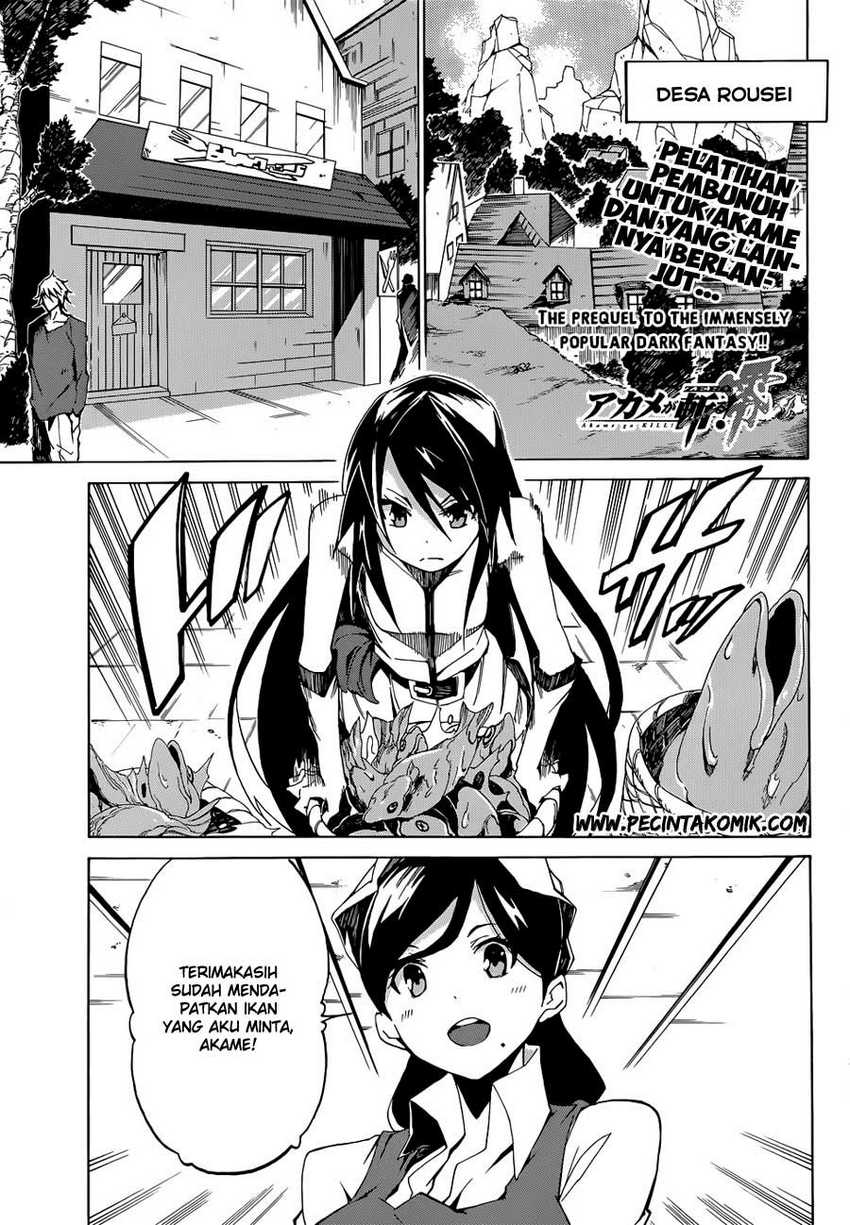 akame-ga-kill-zero - Chapter: 3