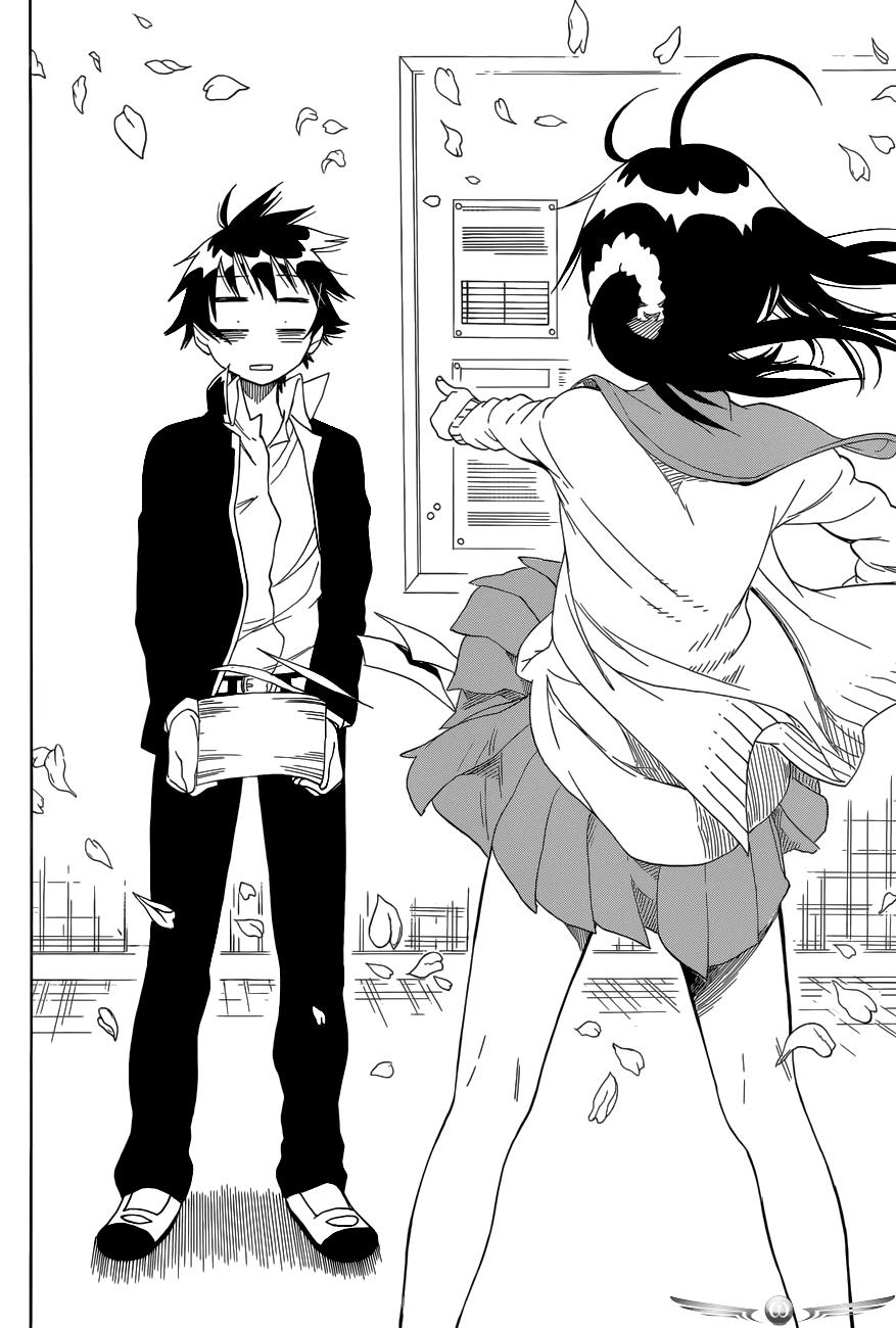 nisekoi - Chapter: 75