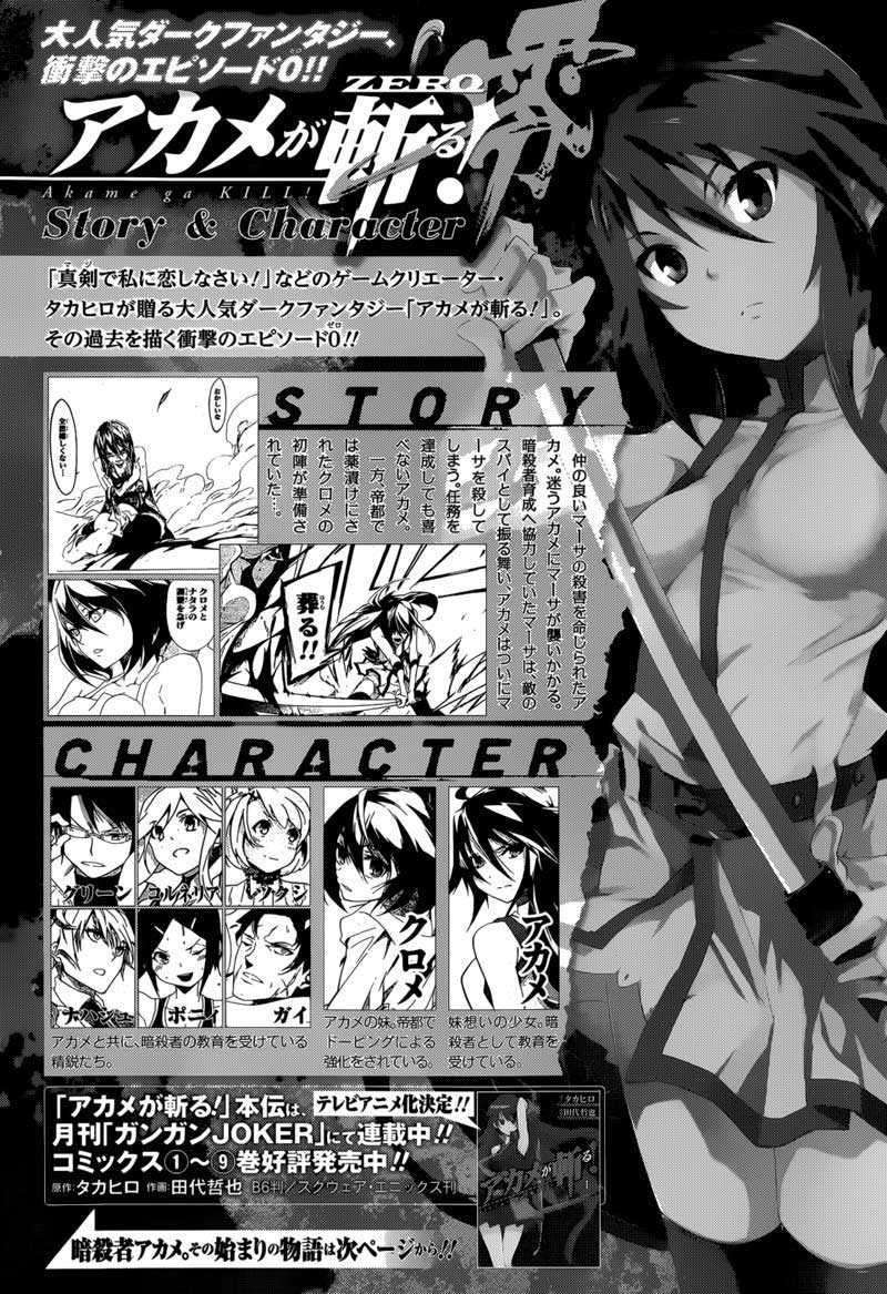 akame-ga-kill-zero - Chapter: 5