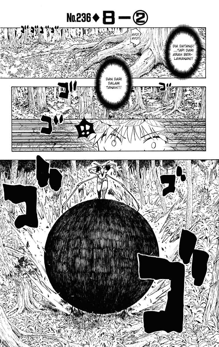 hunter-x-hunter - Chapter: 236