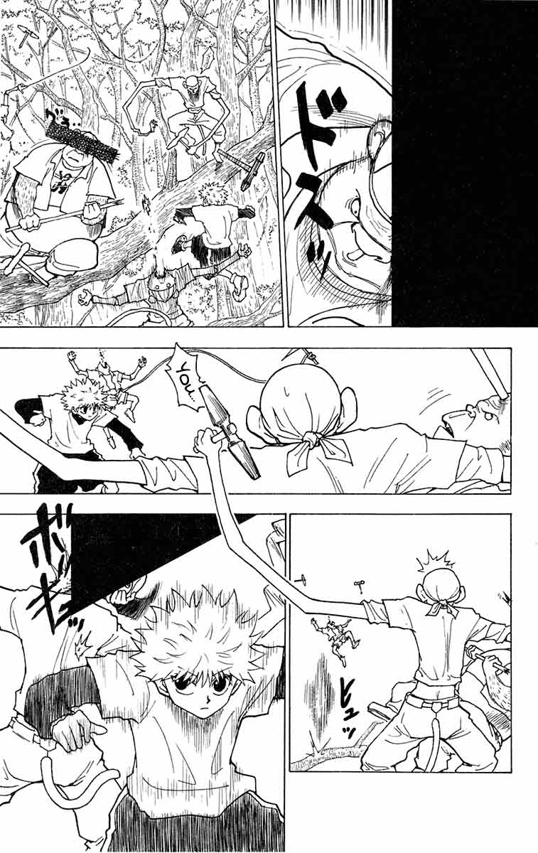 hunter-x-hunter - Chapter: 236