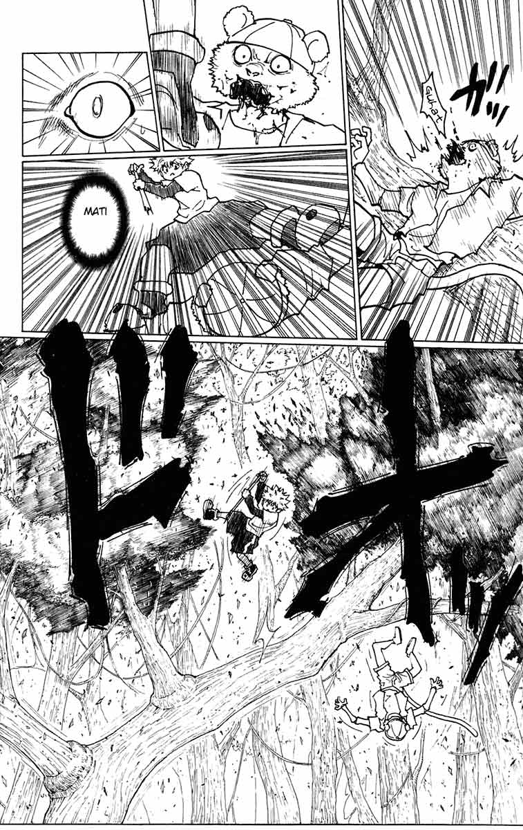 hunter-x-hunter - Chapter: 236