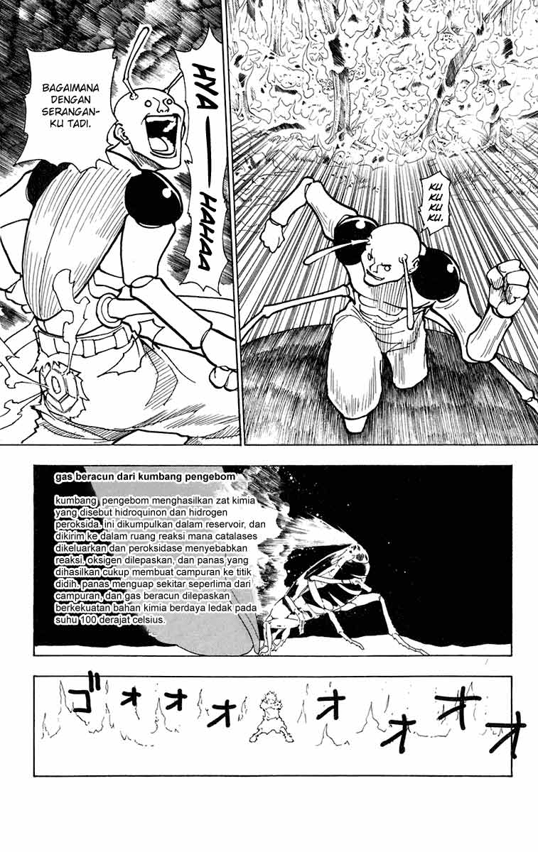 hunter-x-hunter - Chapter: 236