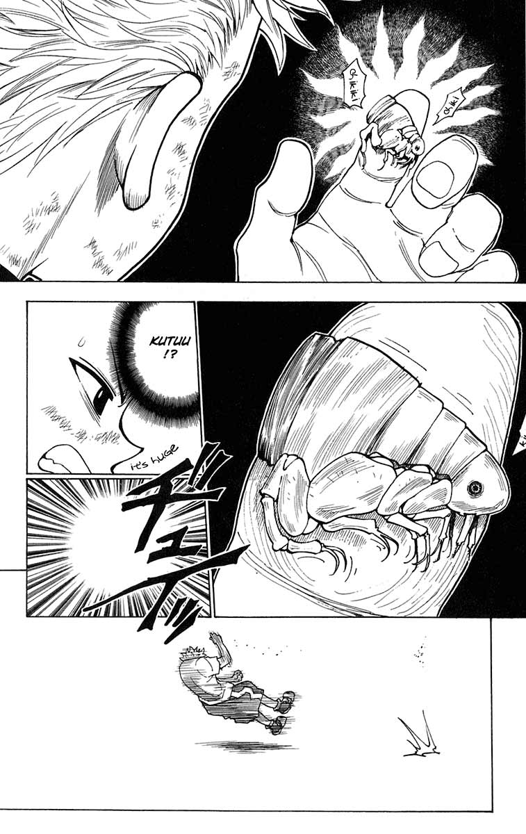 hunter-x-hunter - Chapter: 236